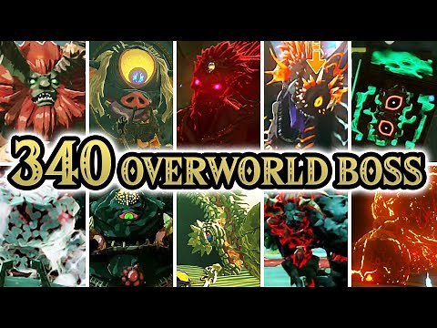 Zelda Tears of the Kingdom - All Overworld Bosses + Locations