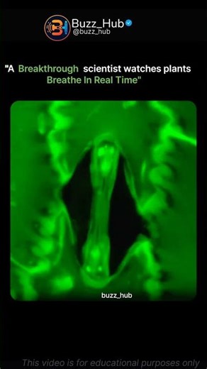 The Breath of Life: Watching a Plant "Breathe" In Real Time 🌿🌬️ #plantsbreathe #stomata