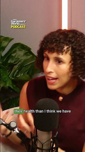 How does SOIL help humans?