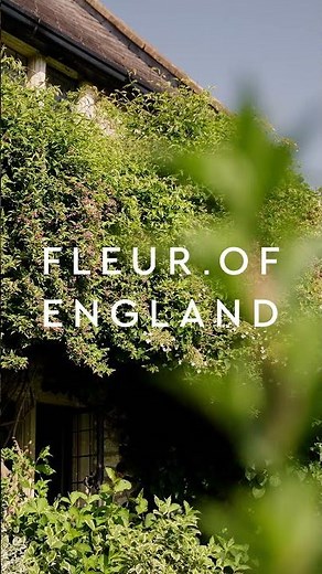 Fleur of England | Olivia Collection