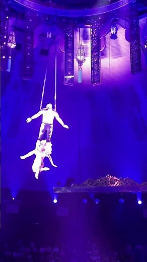 Romantic Acrobat Duo at the Circus 🎪💞 | Emotional Performance & Stunning Show 🤩 #circus