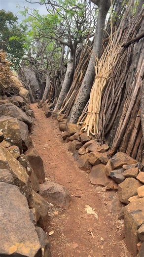 Gamole, in the Konso region of Ethiopia, is truly a place that seems frozen in time, filled with magic and harmony with its surroundings and its villagers. The Konso community is known for its incredible connection to the land, cultivating agricultural terraces that are a UNESCO World Heritage Site and demonstrating a deep respect for nature and their ancestors.The villagers live in a very communal way, sharing daily tasks such as planting, building their stone houses, and raising animals. Life