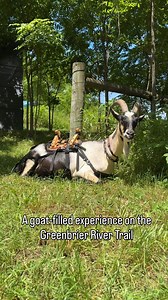 223K views · 4.1K reactions | Located at mile marker 22.5 on the...