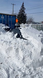 Digging Out After The Snowstorm | Hamilton Ambrose Garth
