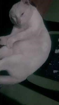 Ganda ng position matulog 😂😹