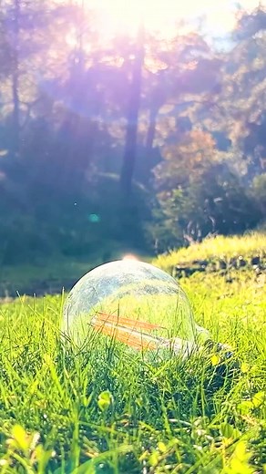 Recycle ♻️ your light bulb for a DIY camping oil lamp! 💡 | 5-Minute Crafts Green