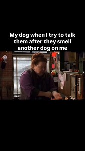 1.1K reactions · 11 comments | It was just one dog I saw at the park. . It didn’t mean anything. . #dog #dogs #dogmeme #dogmemes #puppy #puppymeme #puppymemes #meme #memes | Lobato Dog Training | Facebook