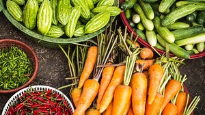 L'évolution de l'alimentation et son incidence sur l'Homme au cours du temps - Le blog de la Brigade