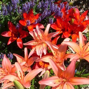 5 Edible Alternatives to Sending Flowers