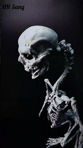 [Handmade Model]What is the internal structure of Fall Guys?/Fall Guys/Crafts/Toys/DIY