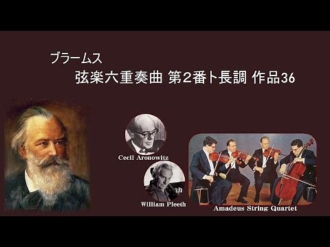 ★ブラームス 弦楽六重奏曲 第2番 ト長調 作品36 アマデウスsq Brahms String Sextet No.2 in G major
