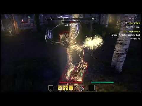 Exploring the world and being a pain for the npcs- Elder Scrolls Online