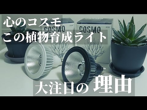 [Plant Grow Light] The Strongest in the Universe!? Review of the BRIM "COSMO 20W"! Incredibly Bri...