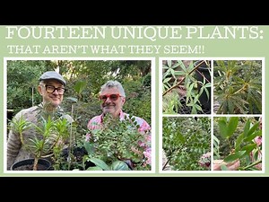 Fourteen Unique Plants...that aren't what they seem!