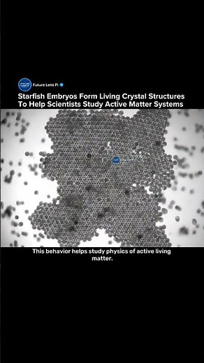 Scientists Discover Living Crystals Formed by Starfish Embryos #biology #starfish #tech #shorts