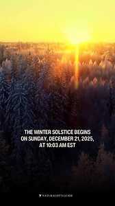 886K views · 17K reactions | ❄️ The Winter Solstice begins on Sunday, December 21, 2025, at 10:03 AM EST—marking the first official day of Winter. During this time, the North Pole is tilted the farthest from the Sun. Sunday will be the shortest day and longest night of the year in the Northern Hemisphere. #wintersolstice | Naturalist's Guide | Facebook