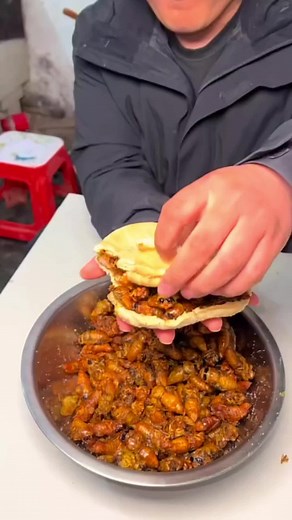 Exploring Fried Cockroaches: A Unique Chinese Delicacy