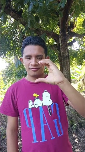 Learn words in Mexican Sign Language 🦻🏼🤟🏻🧏🏻‍♂️ #signlanguage #mexicansignlanguage #lsm