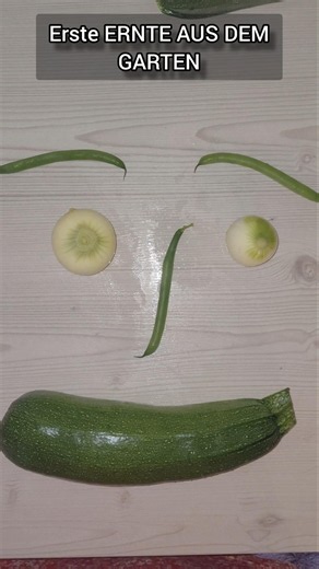 Erste Ernte - Bohnen - Zwiebeln - Zucchini - Was würdest du kochen ?