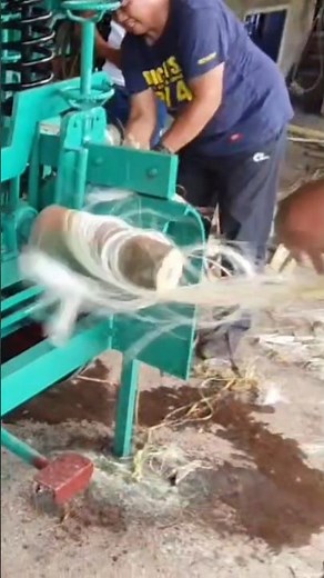 Abaca Fiber Extraction