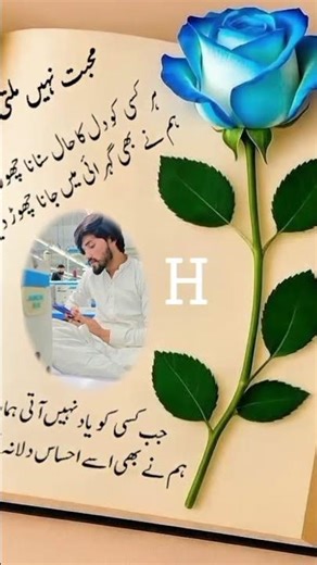 Address: Street, Apt, City, Country/Region, Province, Postal code