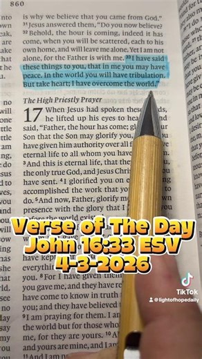 Take Heart, He Overcame the World! 🌍 John 16:33 #VerseOfTheDay #Faith #Jesus #Bible #inspiration