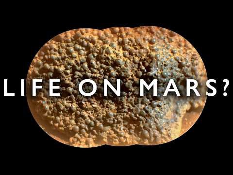 All the Evidence We Have For Life on Mars