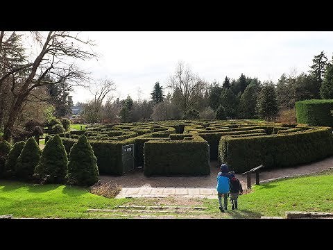 How To Beat Any Maze!