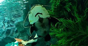 Video by Sun452 on Pexels