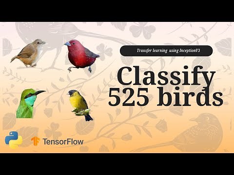 Inception V3 Practical Implementation | Classify more than 500 Birds Species (!!!)
