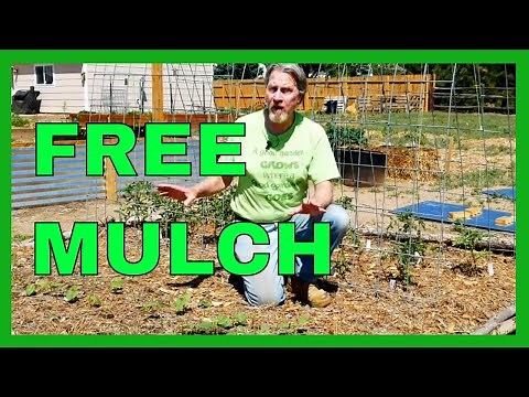 How to Mulch Your Garden