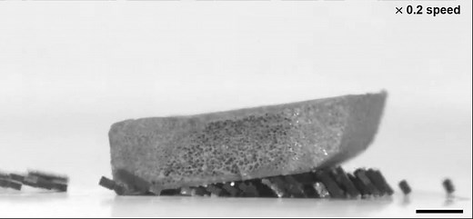 Watch: “Ant-Like” Robot Swarms Lift Heavy Objects With Herculean Strength