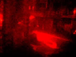 Taipei - Red Light District