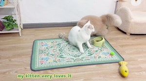 Unicorn Catcher 33X22in Cat Litter Mat Machine Washable Soft 3D Air Mesh Litter Box Rug Non-Slip Backing Quick Dry Scatter Control for Paws,Bean Green