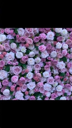 5D Pink Rose Wall 🌸 Perfect Wedding Backdrop