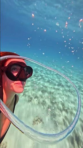 Real Life Underwater Magic by Freediver Girl! 🌊💫