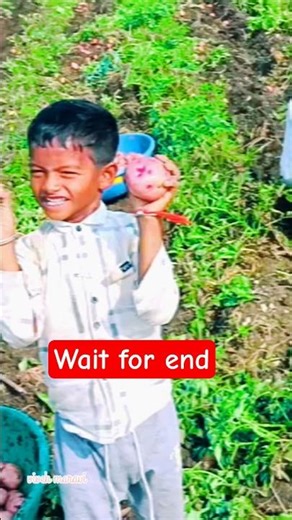 Wait for end 😂🤣 | funny video | comedy #shorts #funny #comedy