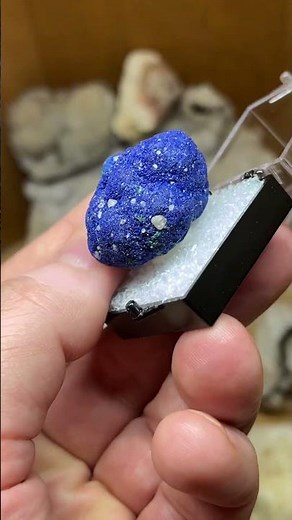 Azurite blueberry with a vug or cave and rattle inside. Such a cool piece from out west. #crystals