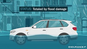 8.8K views · 5 comments | Endurance can help relieve the burden of replacing your vehicle with total loss protection – receive up to $1,000. | Endurance Warranty Services | Facebook