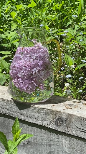 8.3K views · 110 reactions | Lilac Water DIY 請✨ As lilac season...