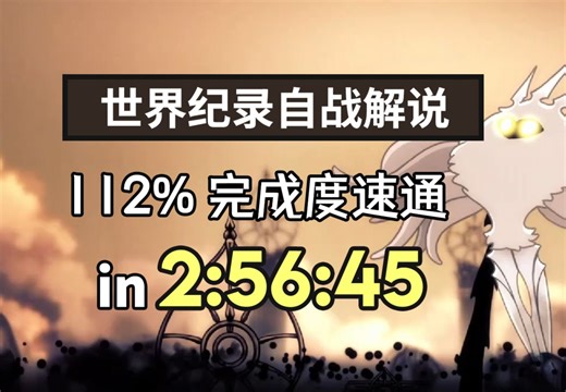 空洞骑士112%世界纪录速通解说版
