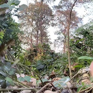 105K views · 2.4K reactions | Time machine 2 naga 殺 part 3 #fb #comedy #post #trending @highlight | Munita Oraon | Facebook