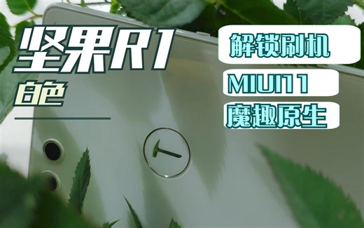 坚果R1刷MIUI11小米系统和魔趣系统 坚果R1解BL锁9008工程线
