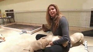 I Am Cait Blog: Candis Cayne on the ''Obstacles'' of Dating as a Trans Woman