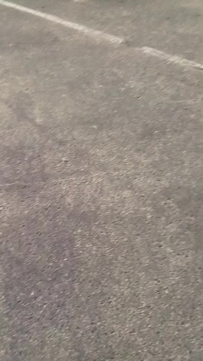 😂👌👌👌 #fyp #holden #vyss #commodore #vy #ss #v8