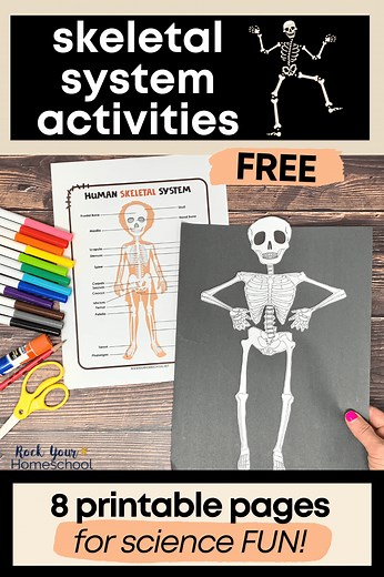 Human Skeletal System Activities: 5 Cool Ways (  Free Printables)