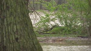 4 Indiana counties under travel watch, 19 counties under travel advisory due to flooding