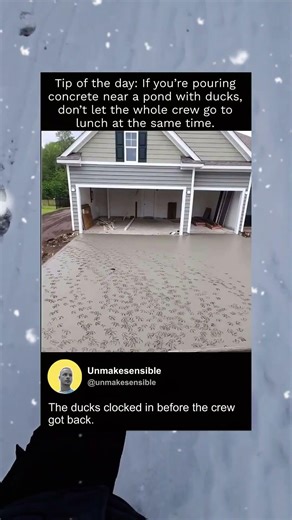 Never keep your guard down #concrete #fail #funny