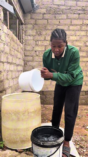Understanding Protective Hairstyles in African Culture