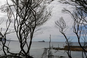 2.7K views · 181 reactions | A bond like no other. ❤️ The...